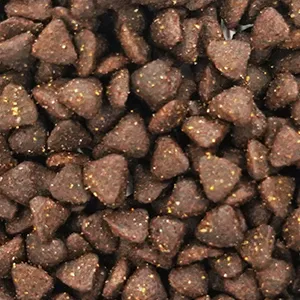 Dry Pet Food Processing Line