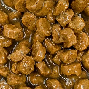Wet Pet Food Processing Line