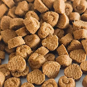 Baked Pet Food Processing Line