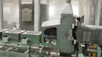 Instant Porridge Processing Line