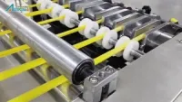 Crispy Chips & Bugles Processing Line