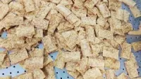 Soya Nugget Snacks Processing Line