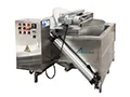 Batch Fryer