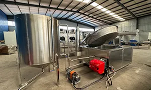 Batch Fryer