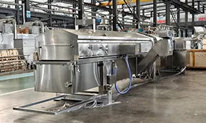 Continuous Fryer