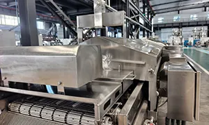 Continuous Fryer