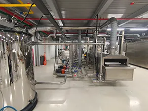 Continuous Fryer