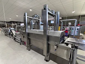 Continuous Fryer