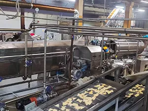 Continuous Fryer