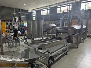 Continuous Fryer