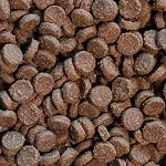 Dry Pet Food Production Line (100-800kg/h)