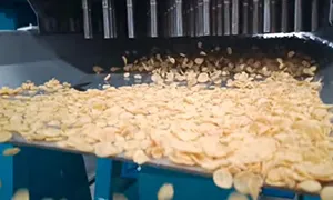 High Temperature Toaster