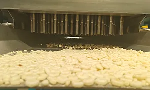 High Temperature Toaster