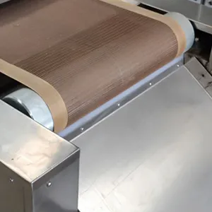 Microwave Drying System