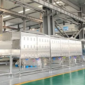Microwave Drying System