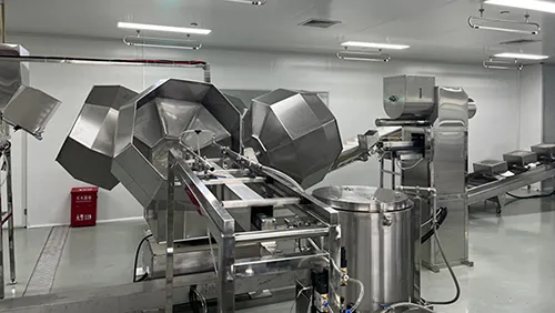 Multi-Head Seasoning Machine, Coating Pan