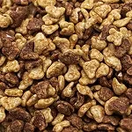 Dry Kibble Pet Food Production Line (1000-11000kg/h)